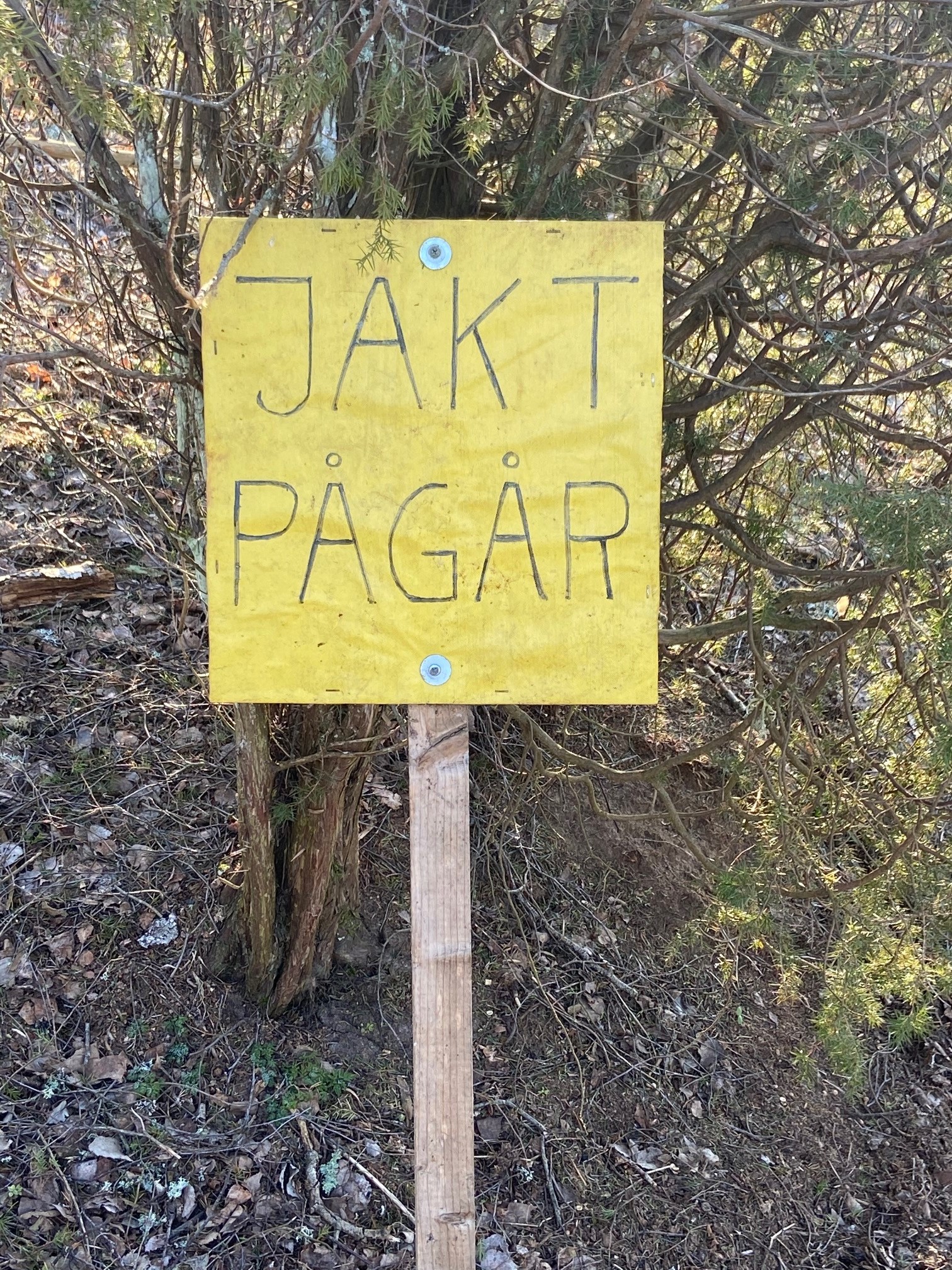 Hur Mycket Får Man Swisha Per Gång